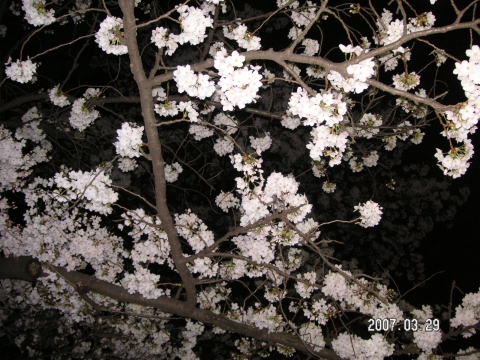 s_PICT0015.jpg